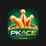 PKACE FEATURE IMAGE